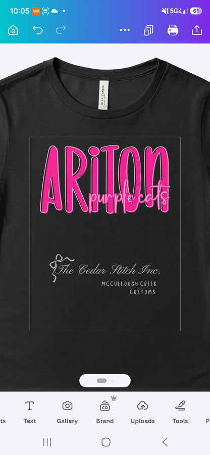 PINK OUT School Mascot Tee/Sweatshirt