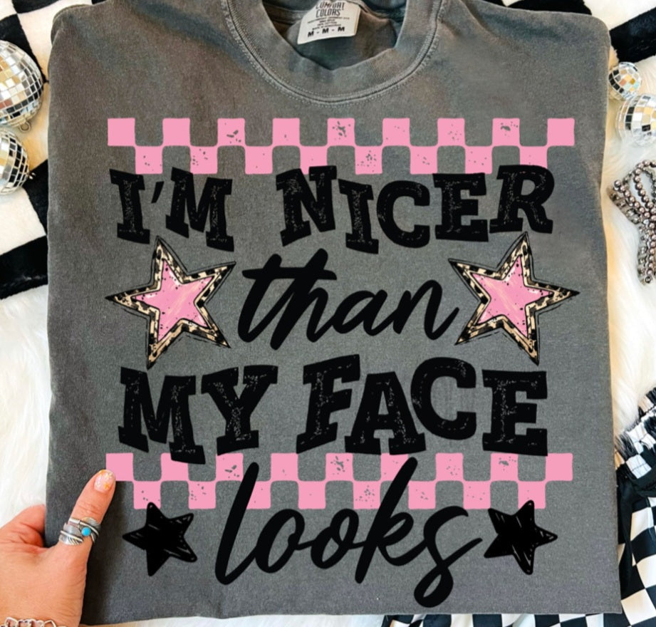 Comfort Colors Nicer Than I look Tee